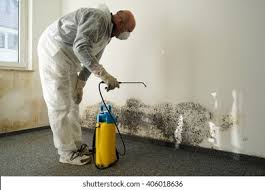 Best Emergency Mold Remediation  in Hilmar Irwin, CA